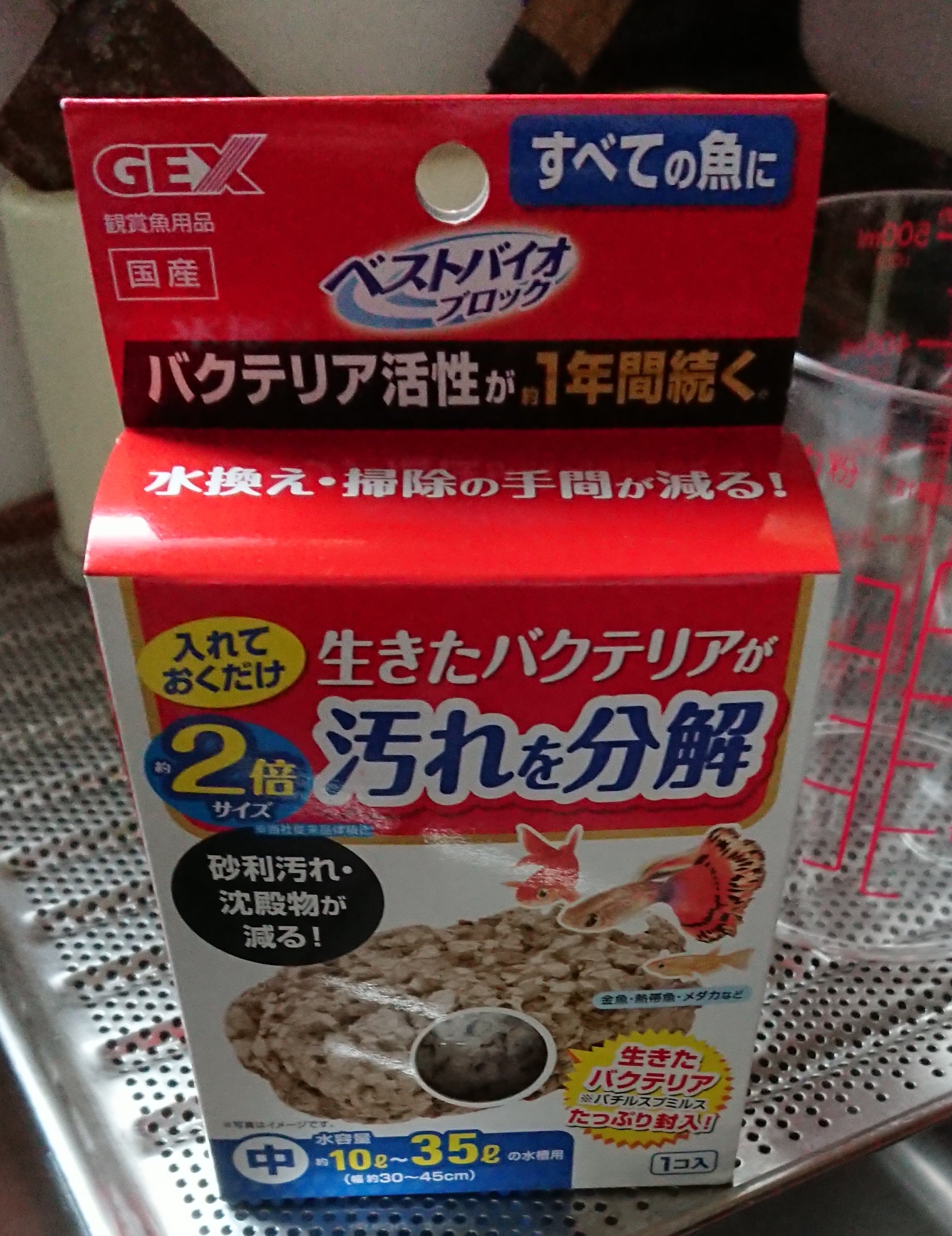 水換えのいらない水槽 準備編 気付いたらオジサン